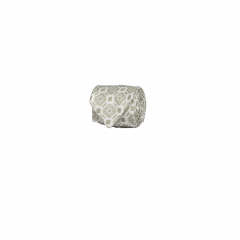 20250310124913_1103817_D1692984211TPNGSquare.png