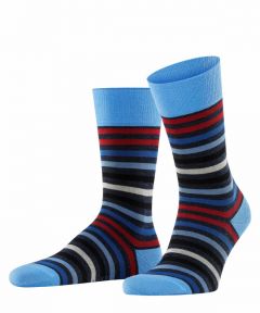 Falke sokken - Tinted Stripe - blauw