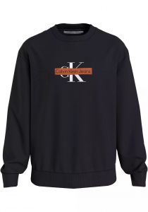 Calvin Klein Plus sweater - regular fit - zwa