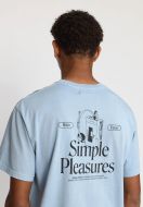 20250422121724_2803722_1389Dustblue0.jpg