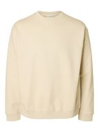 20250225113812_3536254_16096801RawCotton0.jpg