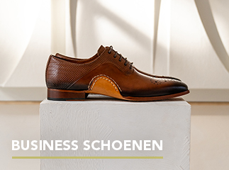 Geklede schoenen